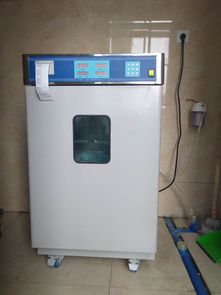氣體滅菌設備 高效滅菌的現代化解決方案